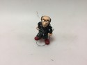 Collection de photographies de la figure miniature