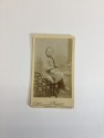 Carte de visite