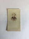 Carte de visite