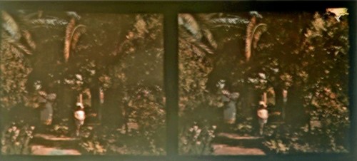 Autochrome estereo 6x13 'un parque en los Vosgos'