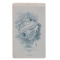 Carte de Visite Fotografo Prosper Batier
