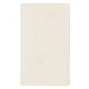 Carte de Visite