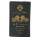 Carte de Visite Fotografo A.Desgranges