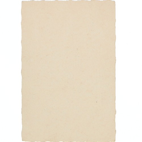 Carte de Visite