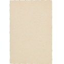 Carte de Visite