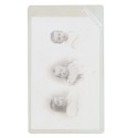 Carte de Visite