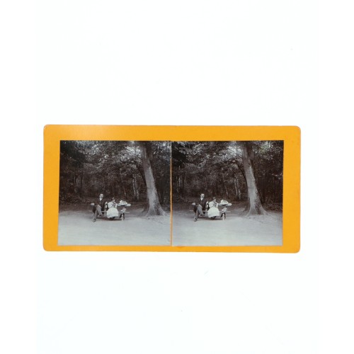 Vista estereoscopica pareja sentada en banco junto a un arbol