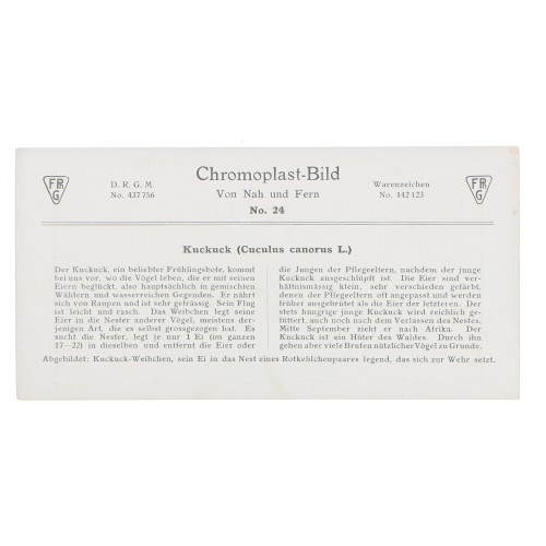 Vista estereoscopica Chromoplast -Bild no.24