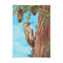 Postal 3D Woodpecker