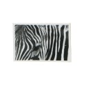 Chapa Zebra