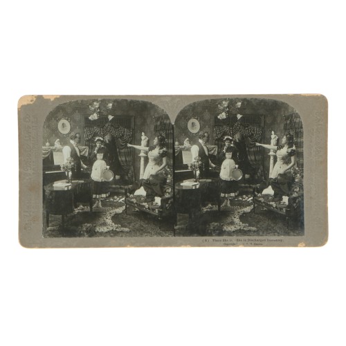 Vista estereoscopica the Universal Photo Art - C. H. Graves Nº8