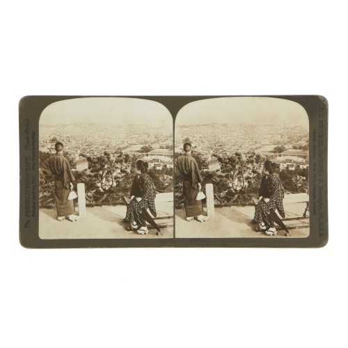 Vista estereoscopica The "Perfect" Stereograph - H. C. White Nº3870 (x2)