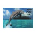 Postal 3D L´Oceanografic Valencia