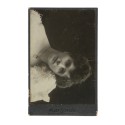 Cabinet card retrato mujer - Atelier Elisabeth Hecker