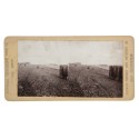 Vista estereoscopica Universal Stereoscopic View Co., Stereoscopic Gems of american and foreign scenery